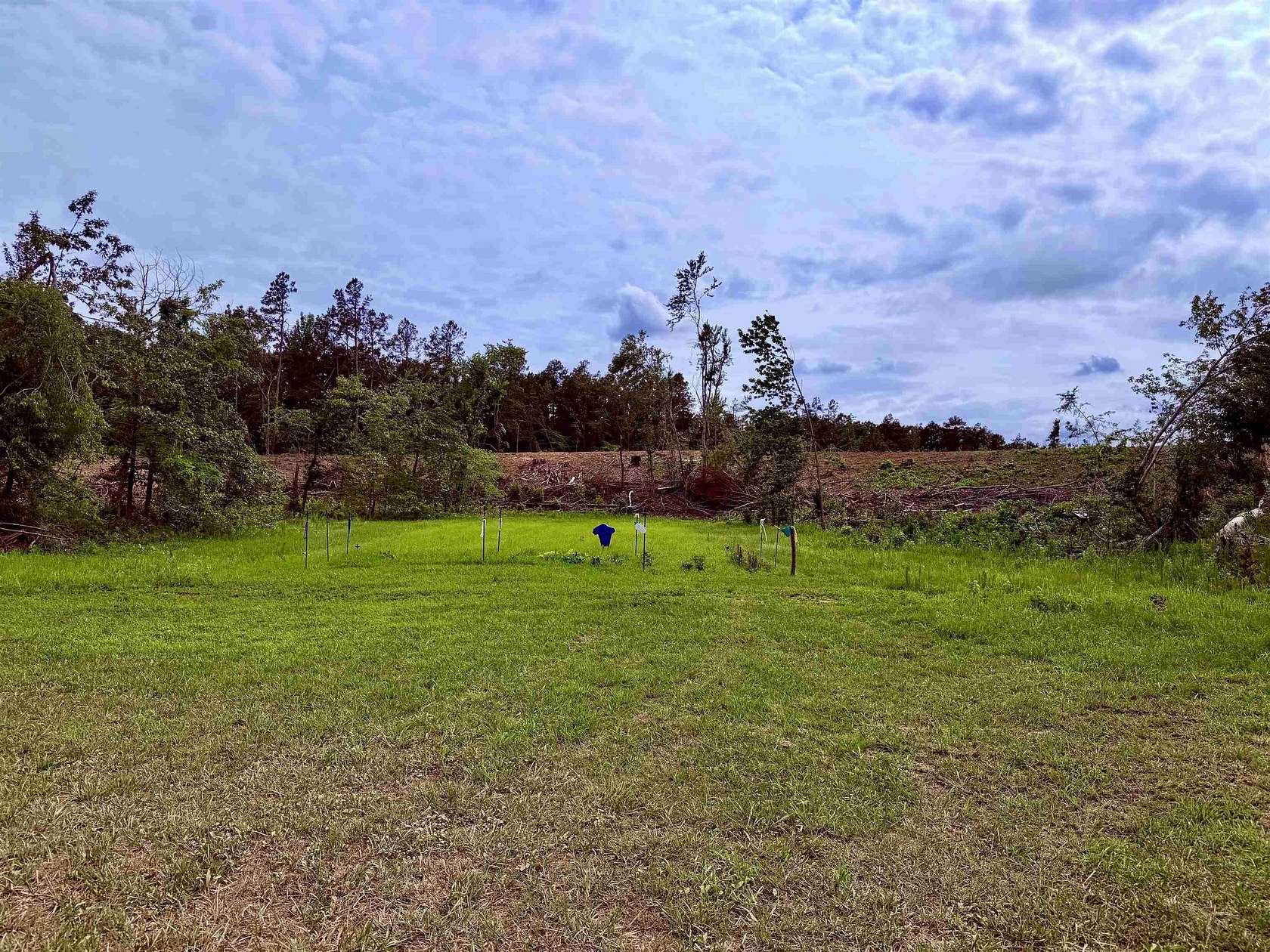 14.7 Acres of Land for Sale in Selmer, Tennessee