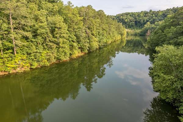 148 Acres of Land for Sale in Arley, Alabama