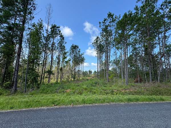 27 Acres of Recreational & Residential Land for Sale in Equality, Alabama