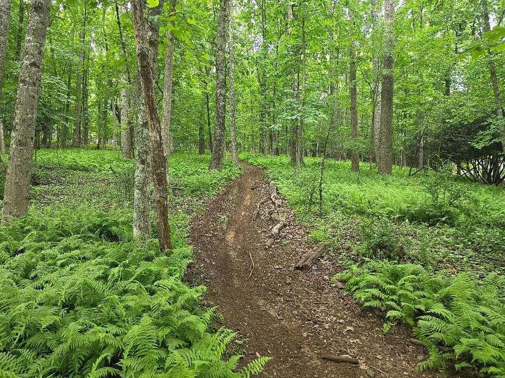 9 Acres of Residential Land for Sale in Galax, Virginia
