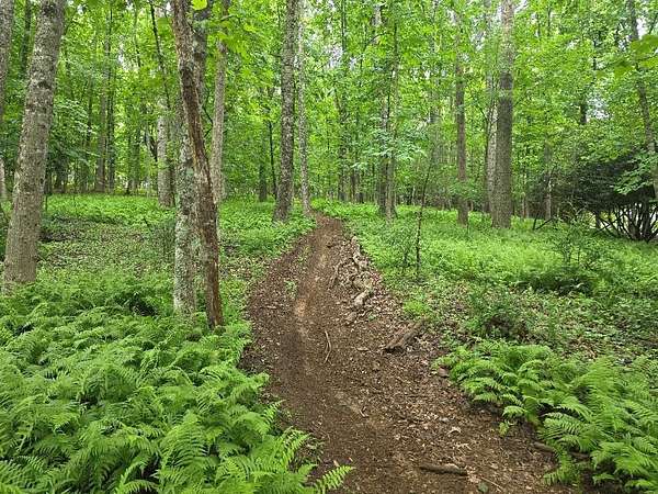 9 Acres of Residential Land for Sale in Galax, Virginia