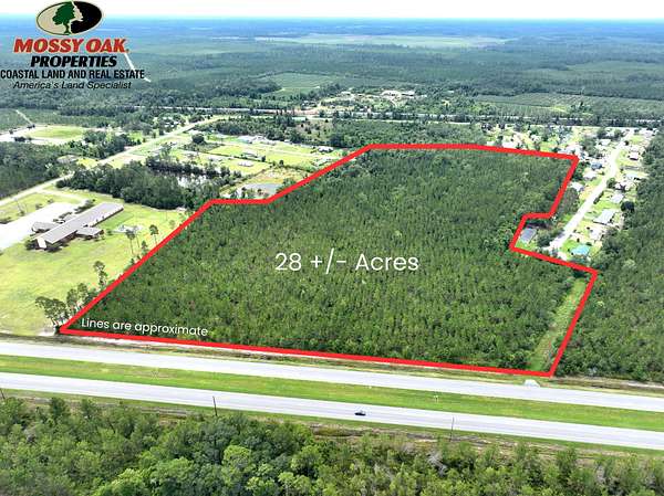 28 Acres of Recreational Land for Sale in Homerville, Georgia