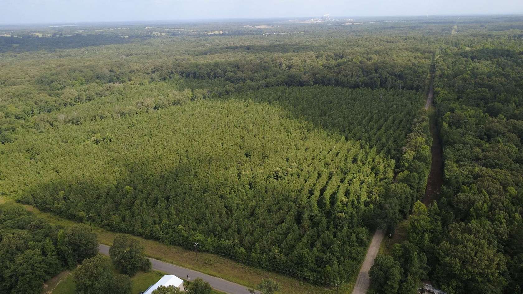 40 Acres of Recreational Land for Sale in Valliant, Oklahoma