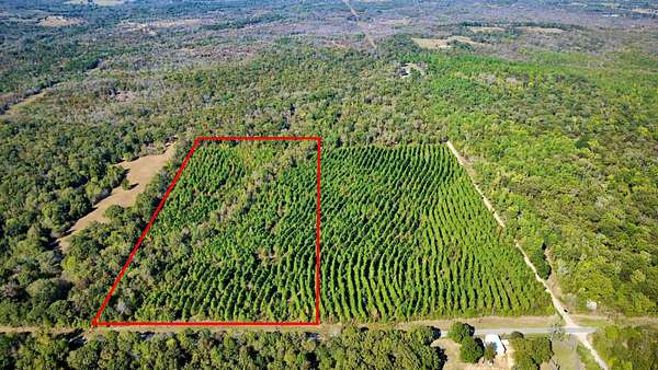 20 Acres of Recreational & Residential Land for Sale in Valliant, Oklahoma