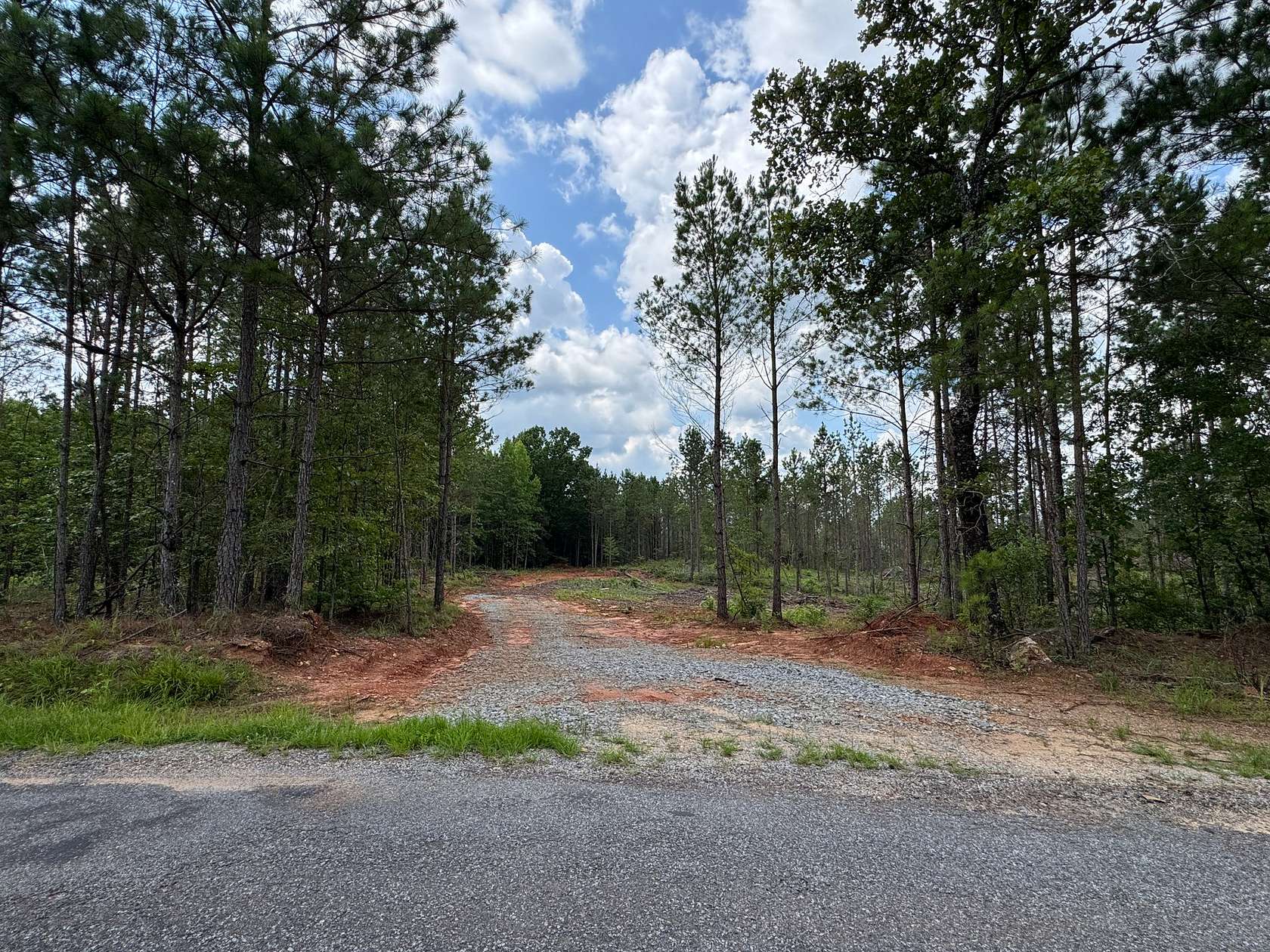 25.7 Acres of Recreational & Residential Land for Sale in Equality, Alabama