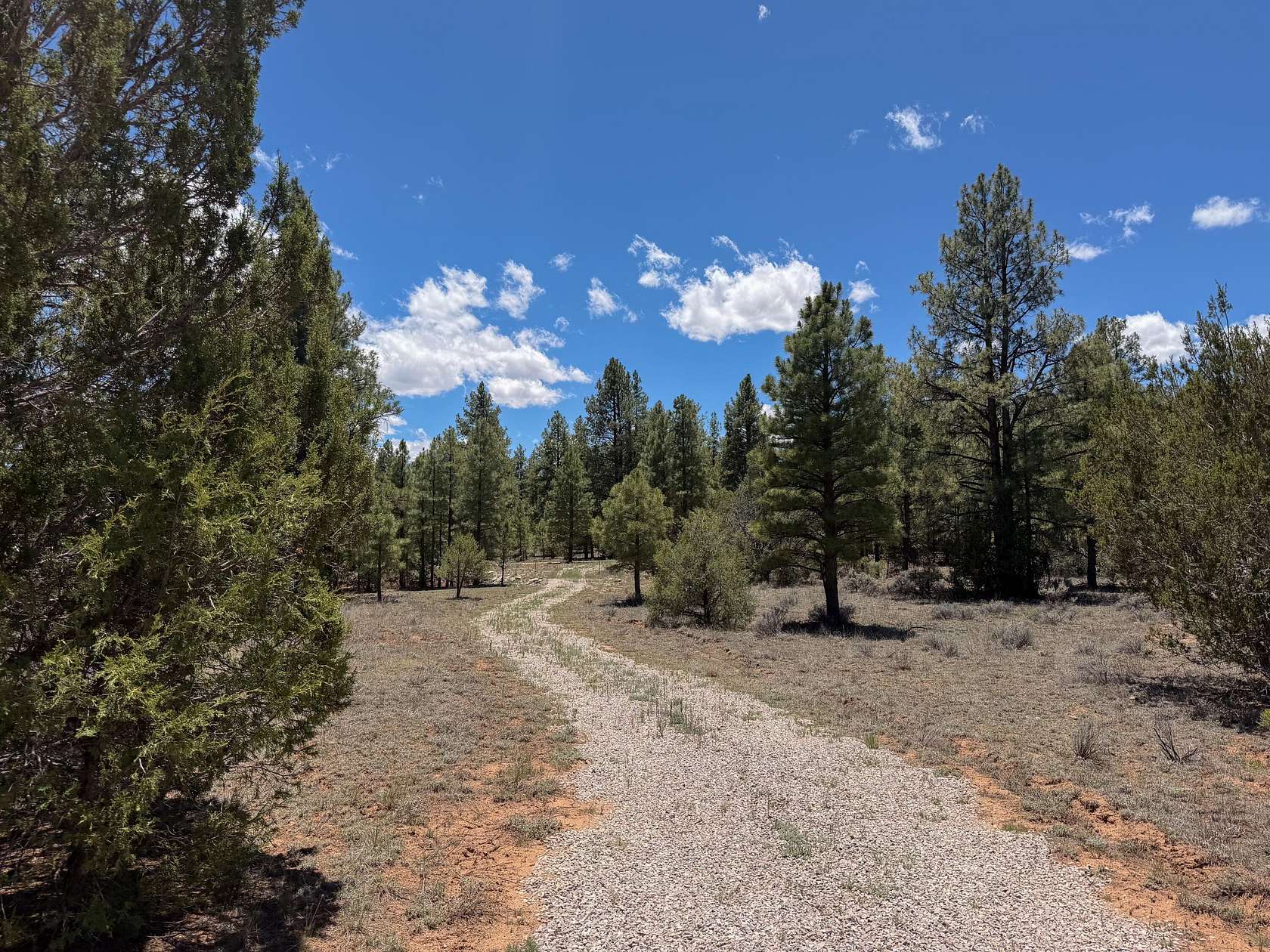 12.6 Acres of Recreational & Residential Land for Sale in Ramah, New Mexico