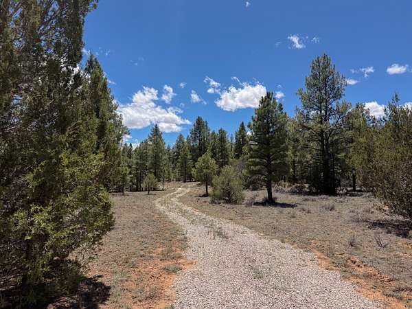 12.6 Acres of Recreational & Residential Land for Sale in Ramah, New Mexico