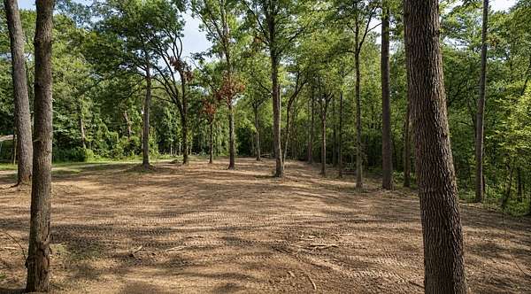 1.5 Acres of Land for Sale in Mount Vernon, Texas