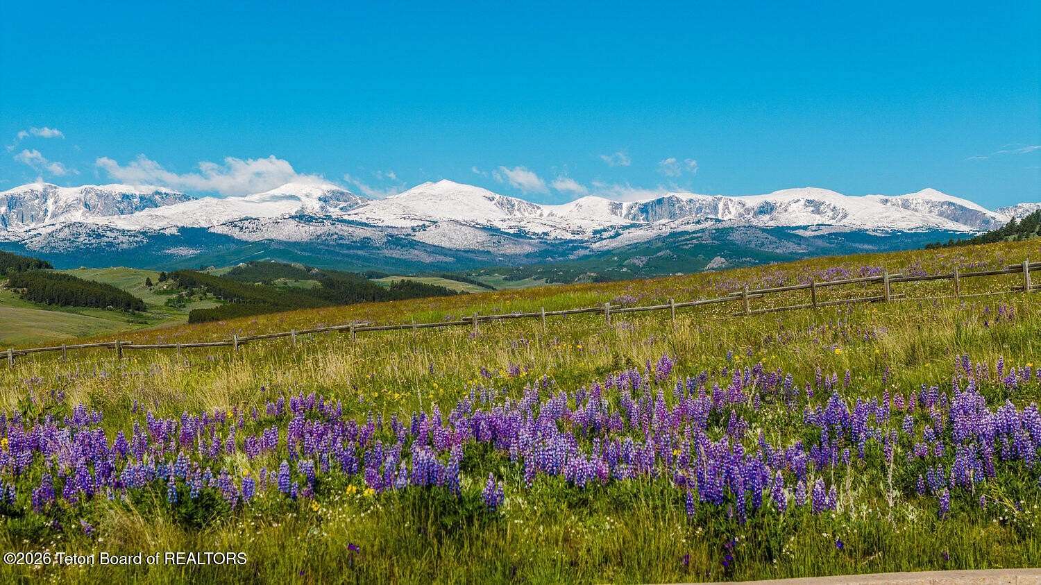 28 Acres of Land for Sale in Buffalo, Wyoming