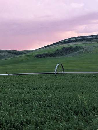 160 Acres of Agricultural Land for Sale in Montpelier, Idaho