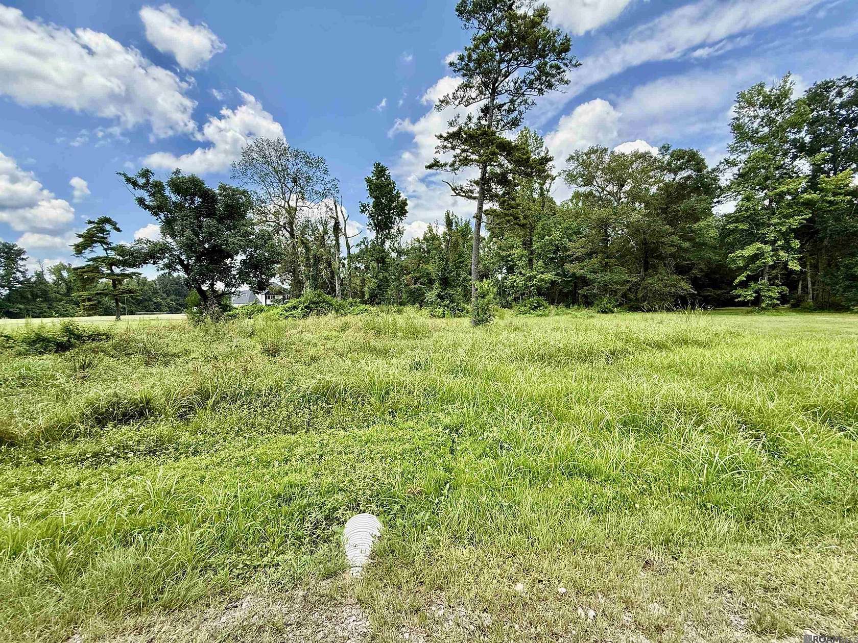 2.53 Acres of Residential Land for Sale in Denham Springs, Louisiana