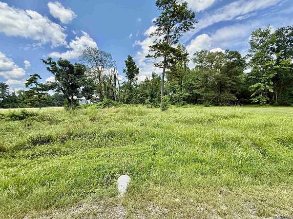 2.53 Acres of Residential Land for Sale in Denham Springs, Louisiana