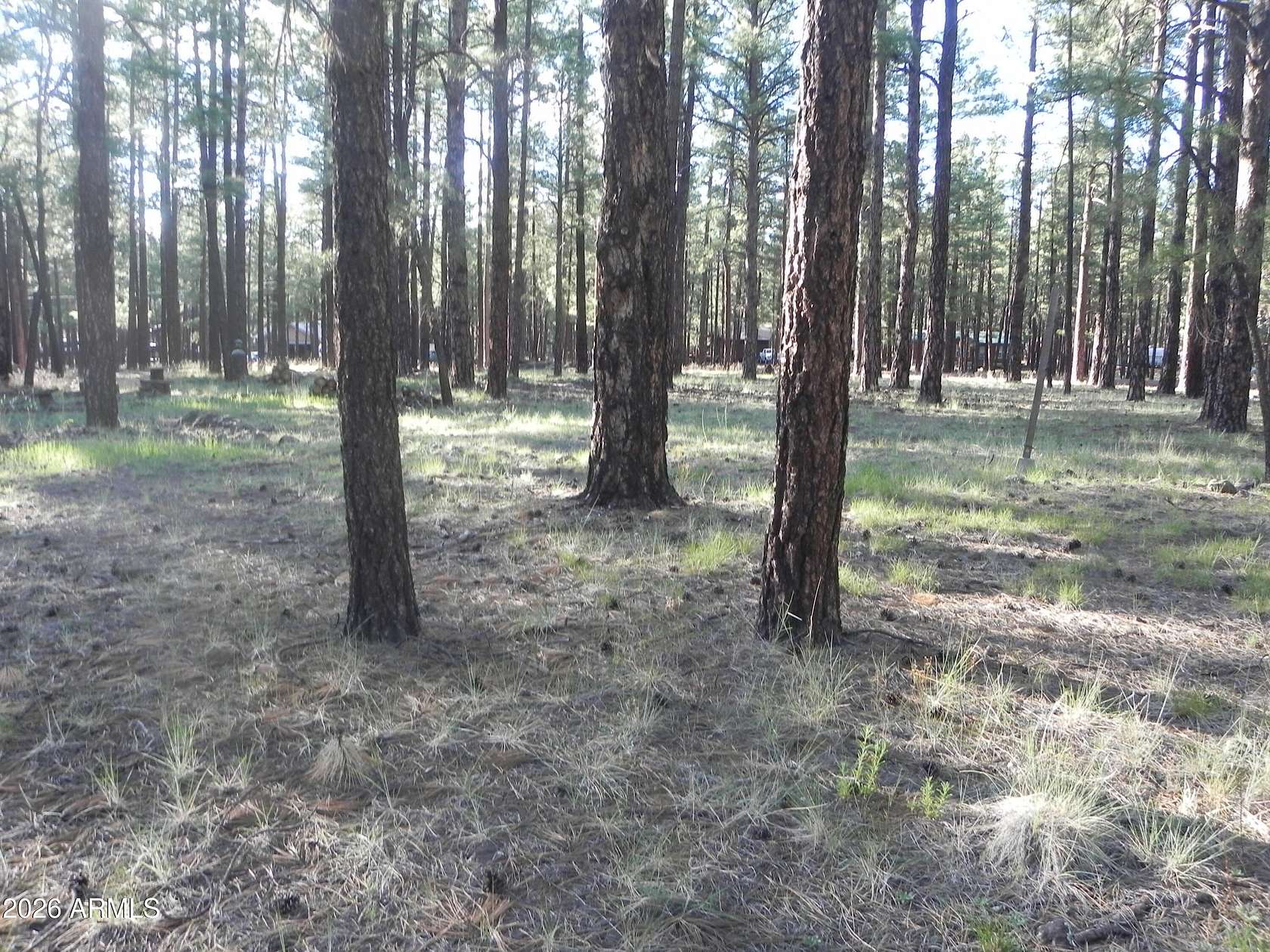 1 Acre of Residential Land for Sale in Williams, Arizona