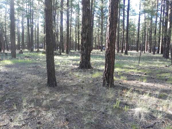 1 Acre of Residential Land for Sale in Williams, Arizona