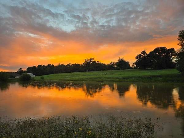 6 Acres of Residential Land for Sale in Athens, Texas