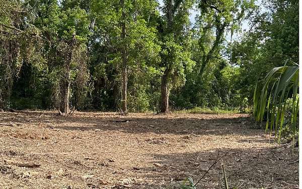 0.25 Acres of Residential Land for Sale in Live Oak, Florida