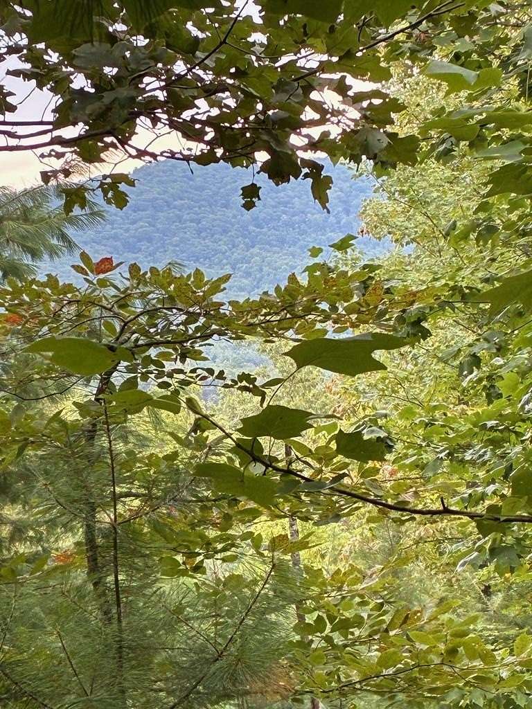 50 Acres of Recreational Land for Sale in Morganton, Georgia