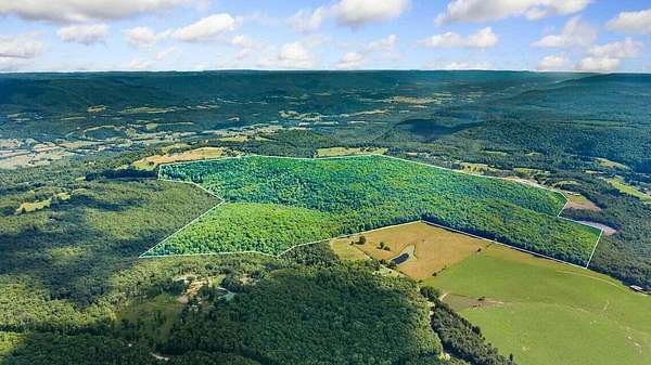 298 Acres of Land for Sale in Pikeville, Tennessee
