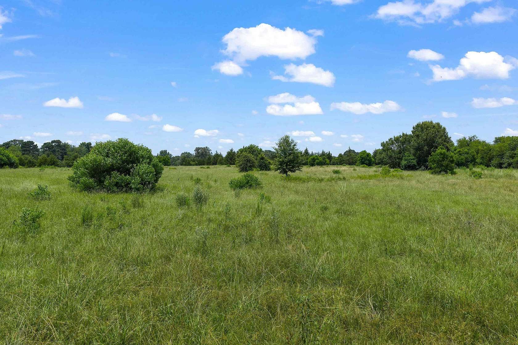 17 Acres of Land for Sale in Beckville, Texas