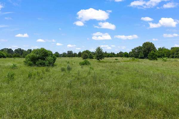 17 Acres of Land for Sale in Beckville, Texas