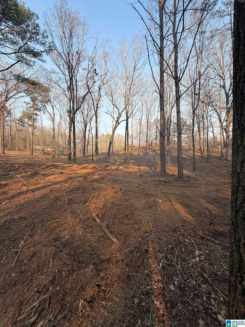 1.7 Acres of Residential Land for Sale in Lincoln, Alabama