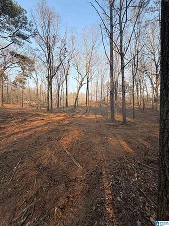 1.7 Acres of Residential Land for Sale in Lincoln, Alabama