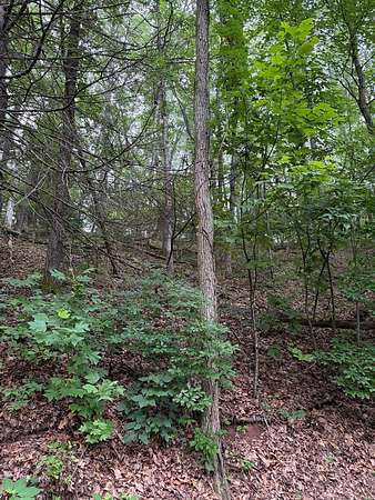 0.48 Acres of Residential Land for Sale in Franklin, North Carolina