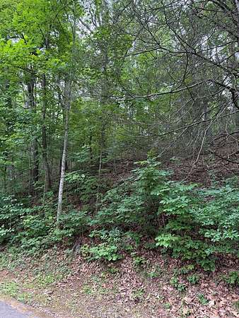 0.41 Acres of Residential Land for Sale in Franklin, North Carolina
