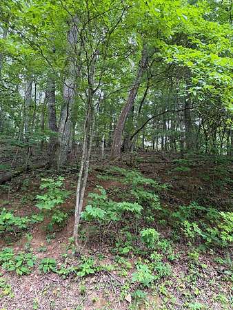 0.45 Acres of Residential Land for Sale in Franklin, North Carolina