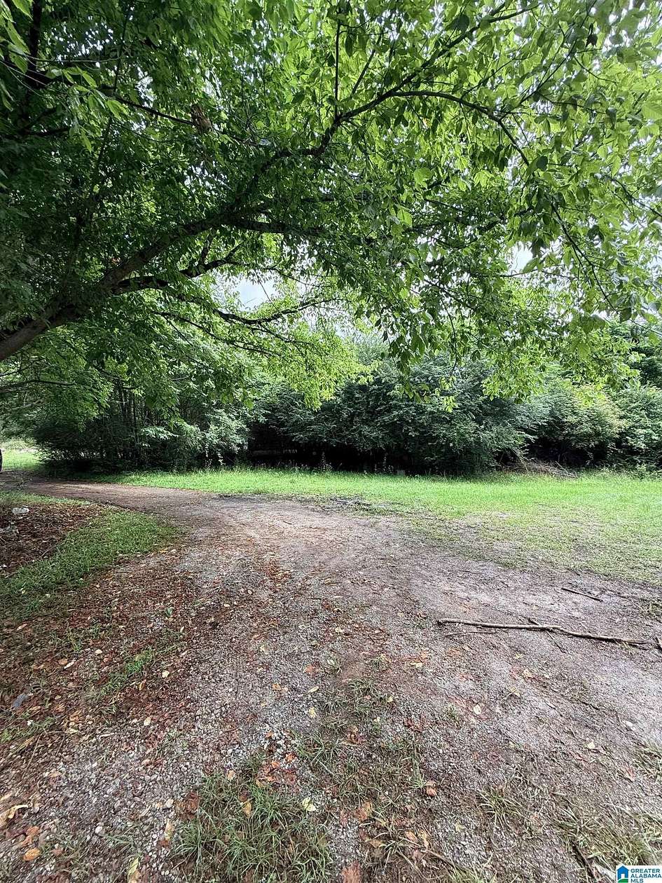 16 Acres of Land with Home for Sale in Wadley, Alabama
