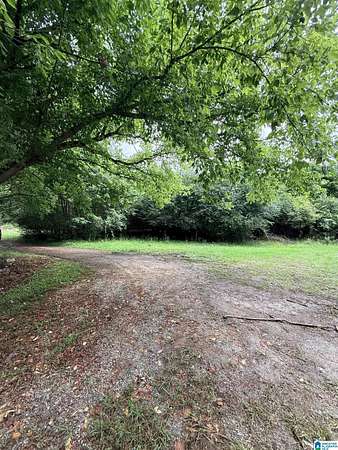 16 Acres of Land with Home for Sale in Wadley, Alabama