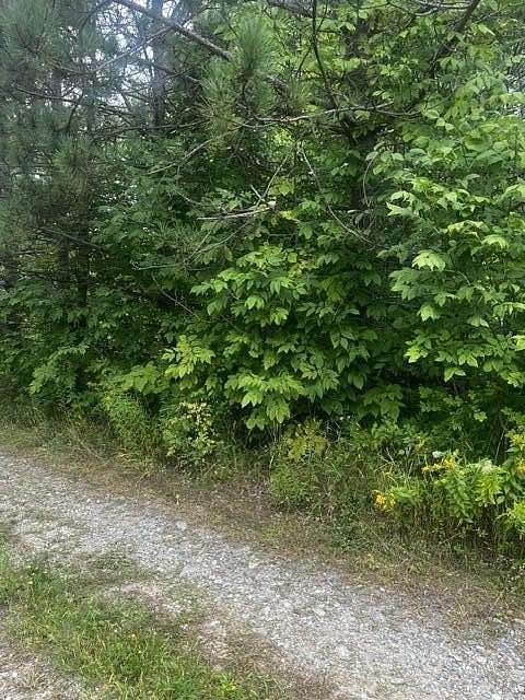 1 Acre of Land for Sale in Princeton, Maine