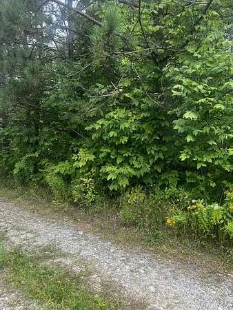 1 Acre of Land for Sale in Princeton, Maine