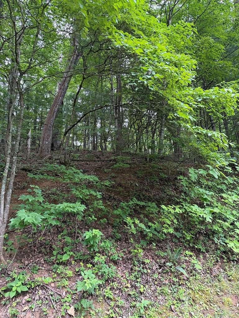 1.8 Acres of Residential Land for Sale in Franklin, North Carolina