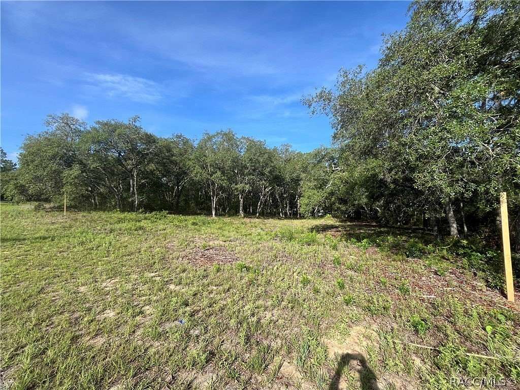0.28 Acres of Land for Sale in Citrus Springs, Florida