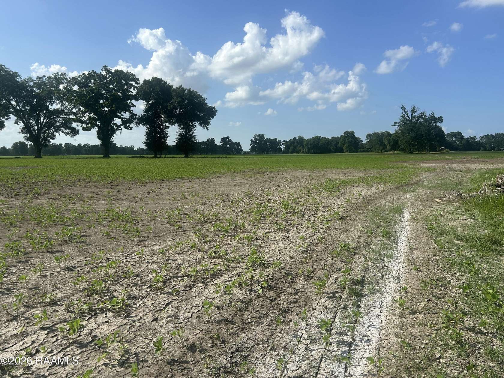 1.29 Acres of Residential Land for Sale in Arnaudville, Louisiana