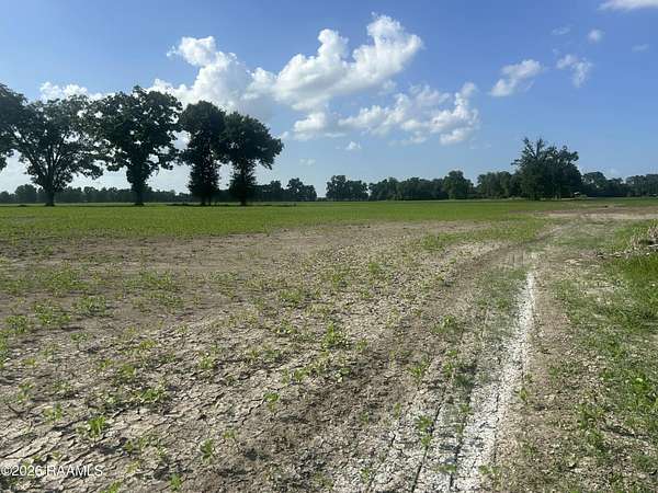 1.29 Acres of Residential Land for Sale in Arnaudville, Louisiana