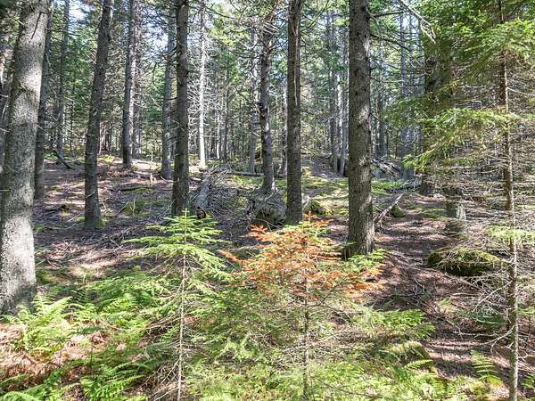 3.2 Acres of Residential Land for Sale in Swans Island, Maine