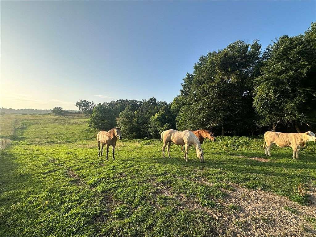 97.8 Acres of Land for Sale in Huntsville, Arkansas