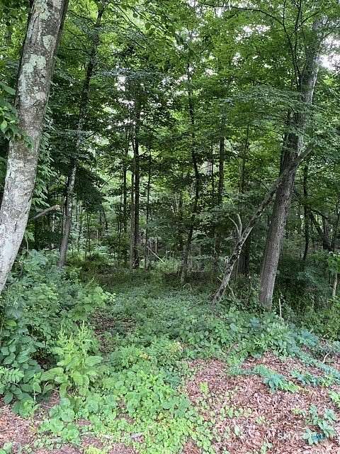 5 Acres of Residential Land for Sale in Danbury, Connecticut