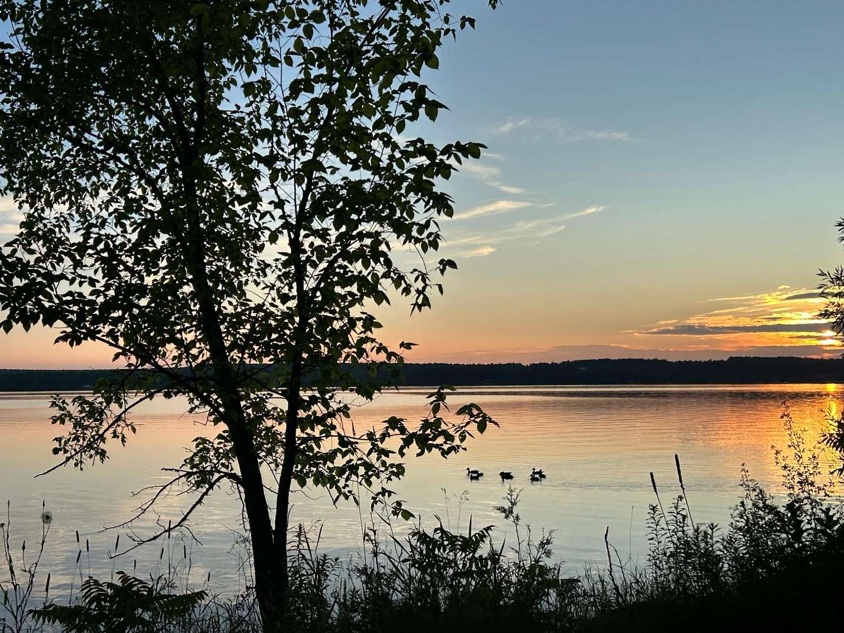 2.42 Acres of Land with Home for Sale in Crandon, Wisconsin
