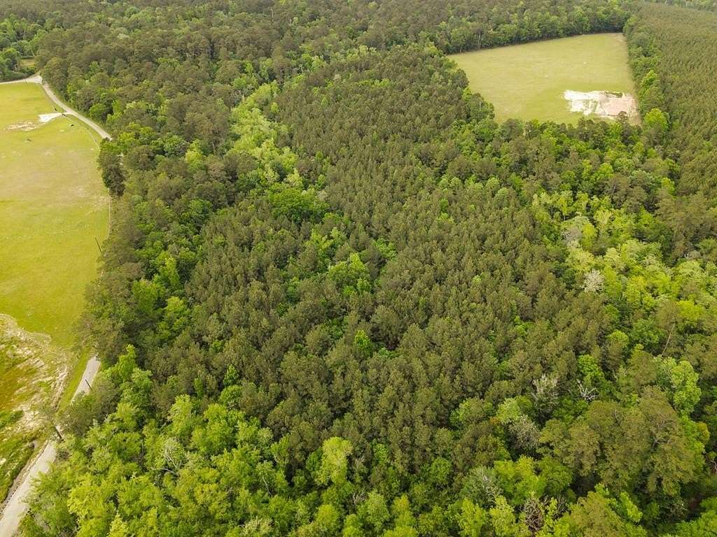 19.5 Acres of Recreational Land for Sale in Roganville, Texas