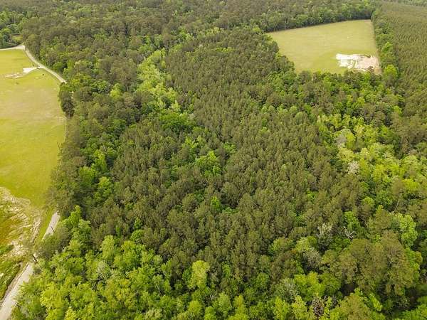 19.5 Acres of Recreational Land for Sale in Roganville, Texas