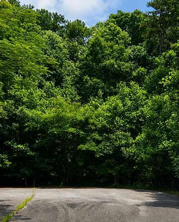 3.22 Acres of Land for Sale in Ellijay, Georgia