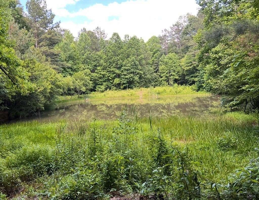 31.4 Acres of Land for Sale in Ellijay, Georgia