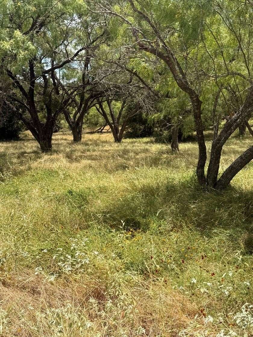 0.19 Acres of Residential Land for Sale in Horseshoe Bay, Texas