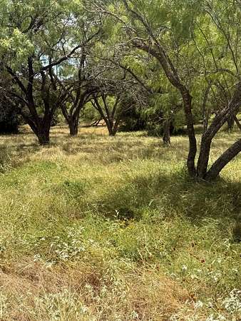 0.19 Acres of Residential Land for Sale in Horseshoe Bay, Texas
