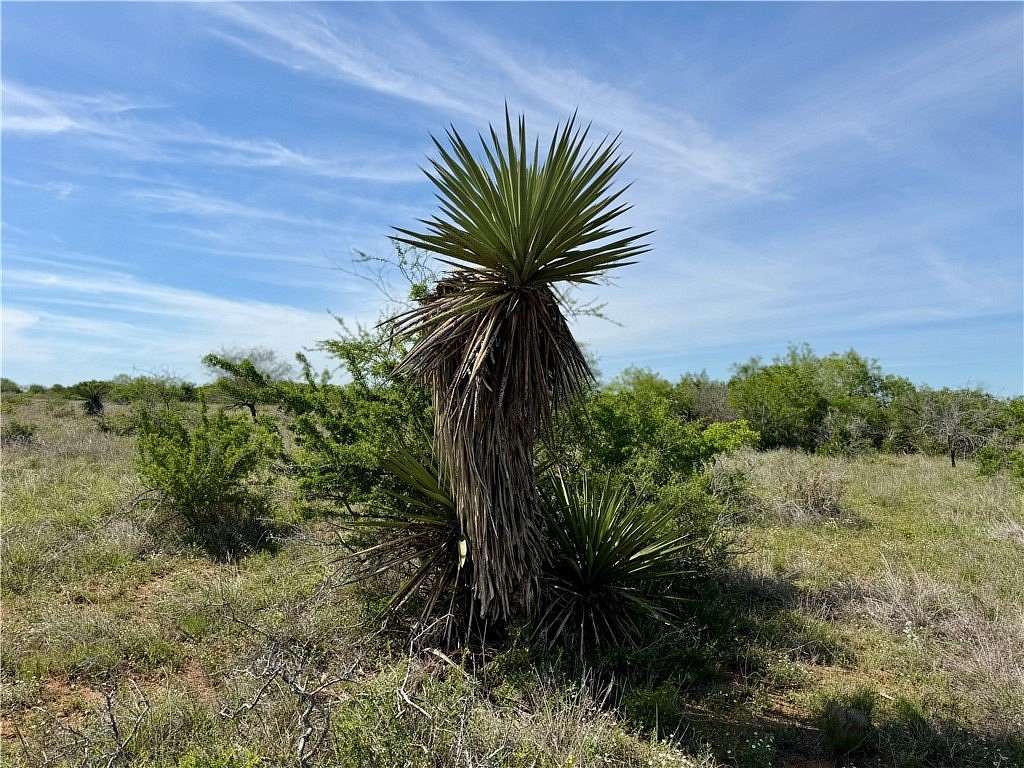 36 Acres of Land for Sale in George West, Texas