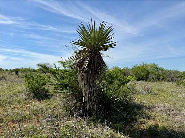 36 Acres of Land for Sale in George West, Texas