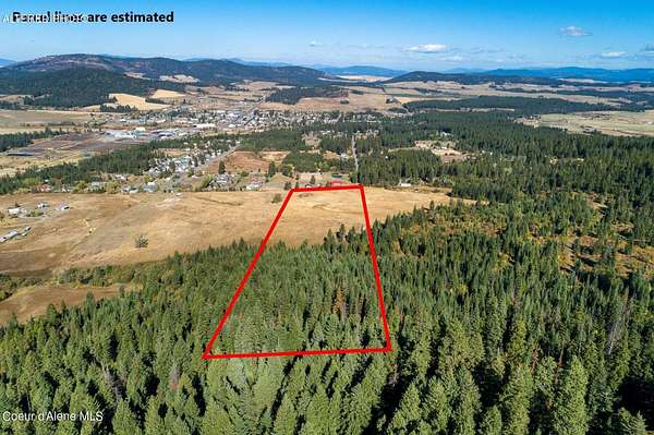 20 Acres of Recreational & Residential Land for Sale in Plummer, Idaho